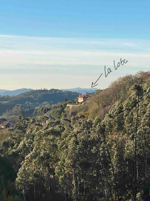 La Loba - Un Pequeno Paraiso A Tu Alcance Villa Fornelos de Montes Exterior photo